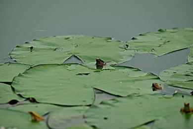 硬核平台跑酷游戏《弃子》发售日预告 1月19日发售
